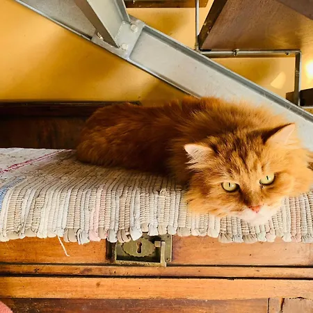 Bed and breakfast Di Granarolo dellʼEmilia