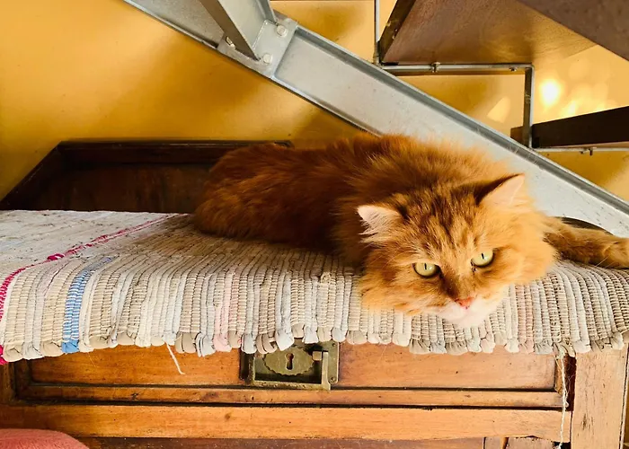 Nocleg ze śniadaniem Di Granarolo dellʼEmilia